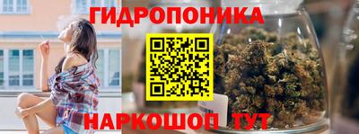 spice Новодвинск