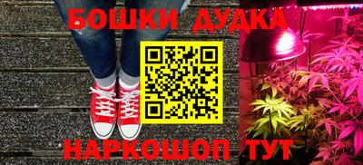 spice Новодвинск