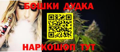 spice Новодвинск