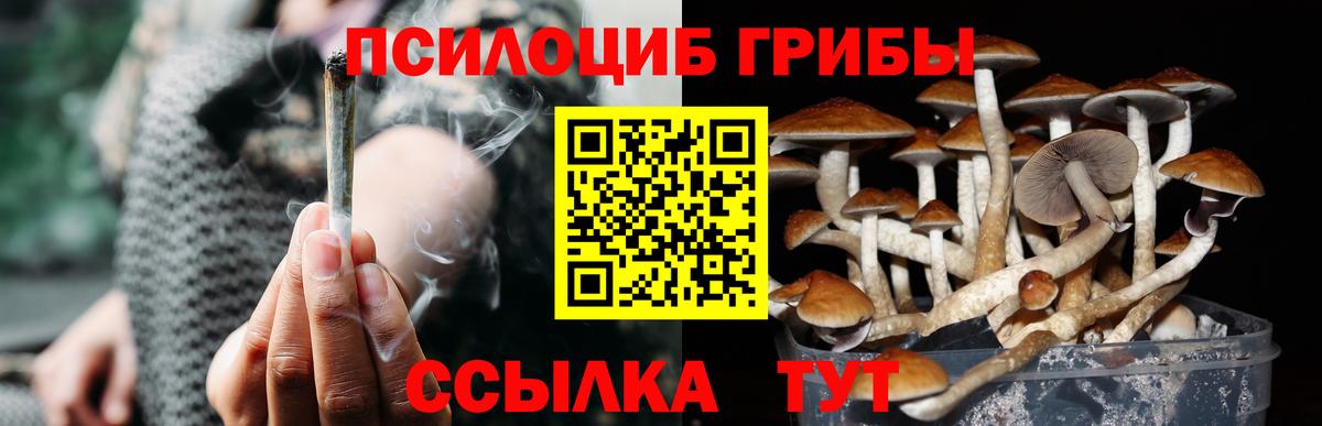 Галлюциногенные грибы ЛСД  цена наркотик  Галлюциногенные грибы мицелий  Сосновоборск  Вход с VPN 